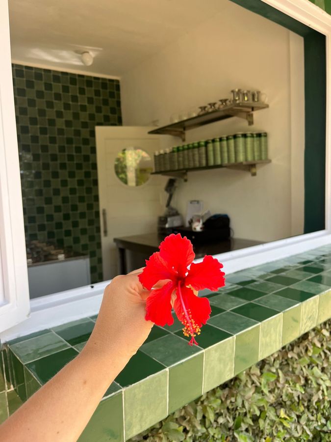 Red hibiscus flower at Honey Gelato counter in Kuta Lombok